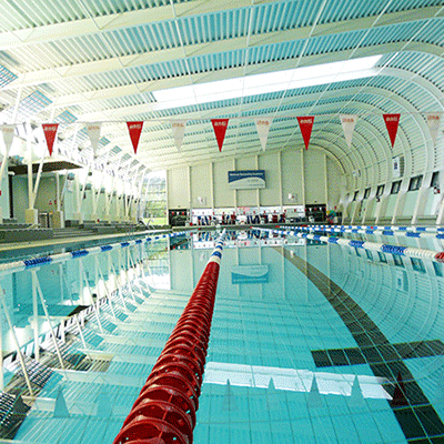 pose de matériel de piscine